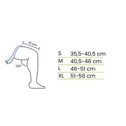 Actimove Sports Edition Knstd