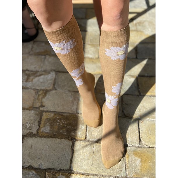 Stttestrmper Bambus, Natur med Lilla Blomster