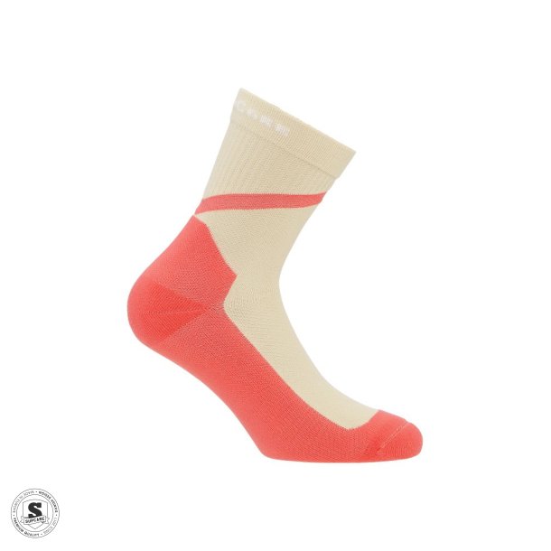 SupCare - Item no. 24-2530-1