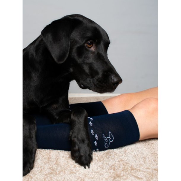Compression Stockings Wool and Cotton, Navy Blue with Dog and Paws